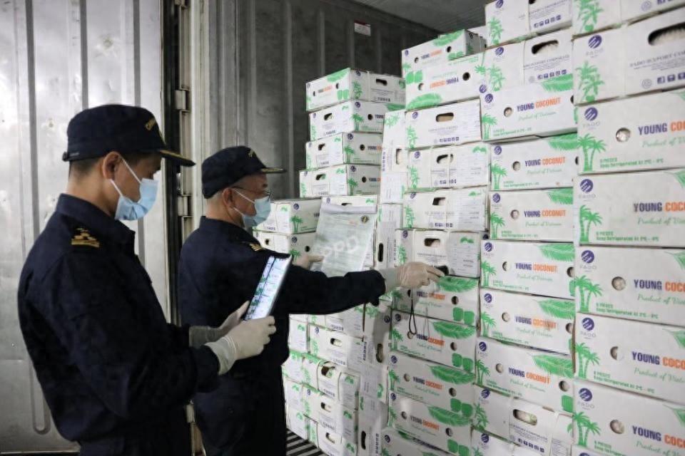 全国首票！42 吨越南鲜食椰子通过铁路进口，物流成本更低