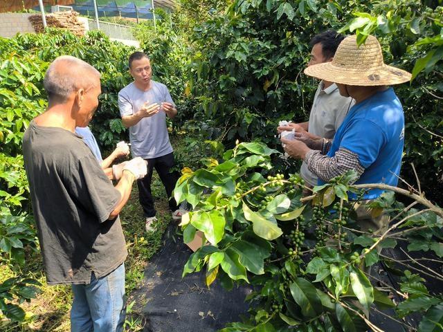 星巴克门店总数突破 7596 家，覆盖近 1000 个县级市场  第1张