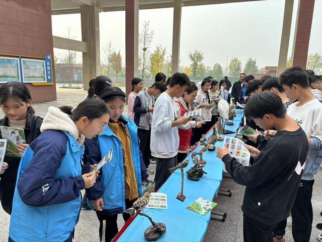 郑州黄河湿地热闹非凡！大批候鸟已抵达，快来感受自然之美  第3张