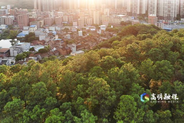 高明区荷城街道竹园社区环山健身步道建设项目已完成 65%工程量，预计何时完工？  第8张