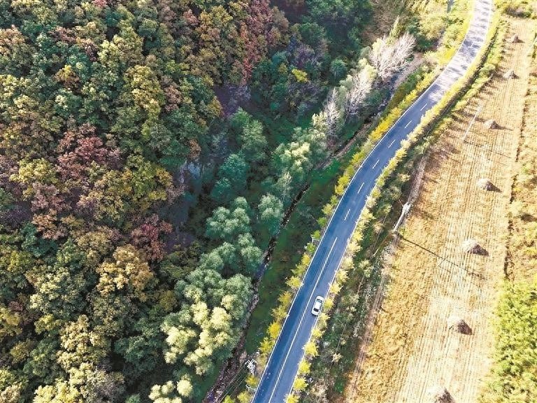 普兰店区驿唐线荣获2024年度我家门口那条路主题文明农路第一名，见证乡村振兴新动力