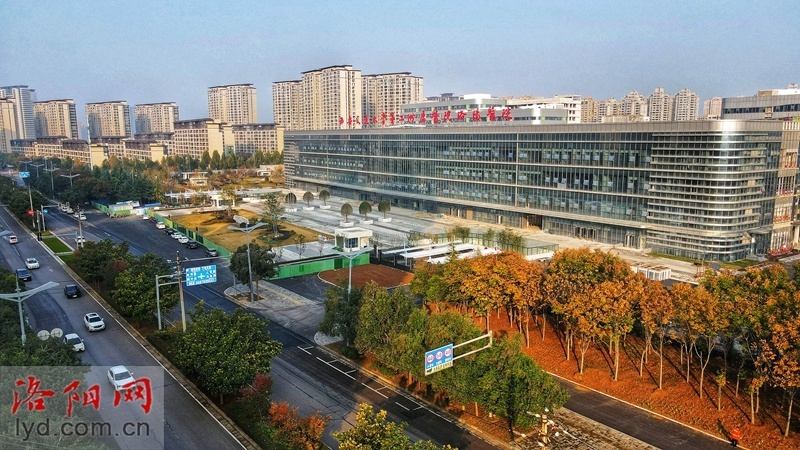 2024年洛阳：乘风而上，砥砺奋进，见证河洛大地的多彩变迁  第5张