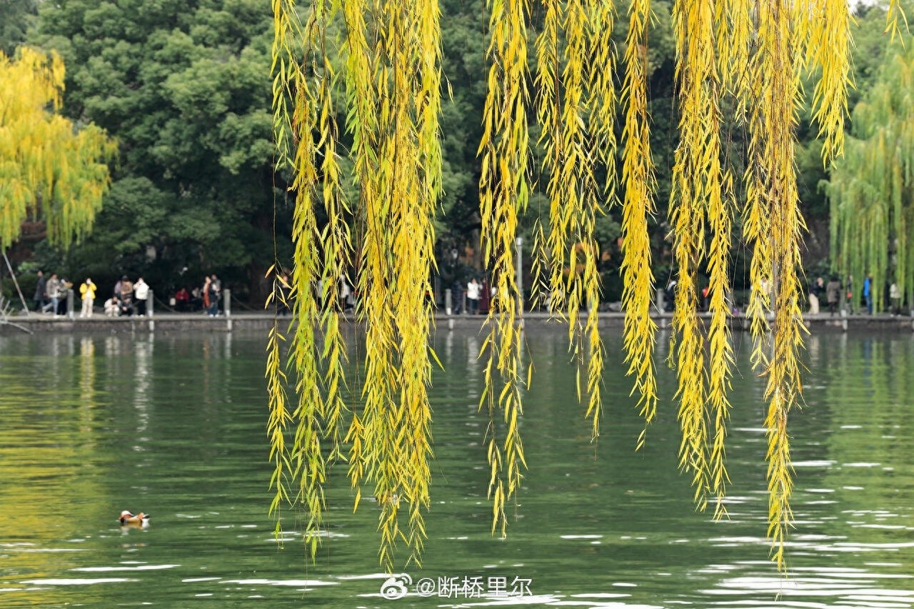 2024年最后一天，暖意依旧：我省平均高温日数高达50天，你准备好迎接新年了吗？