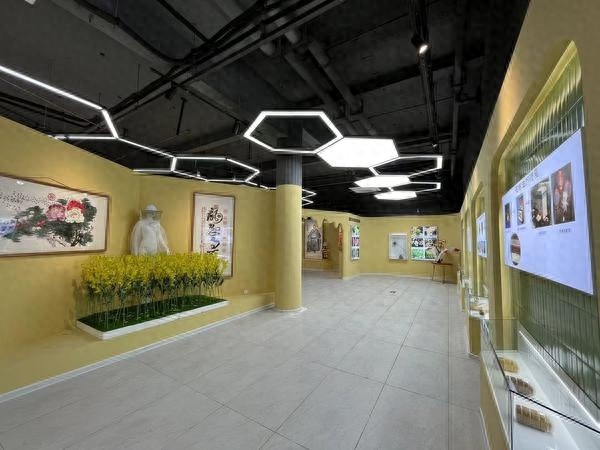 揭秘小蕉村朝南北蜜蜂科普馆：一次研学，收获满满，230名学生的共同选择  第1张