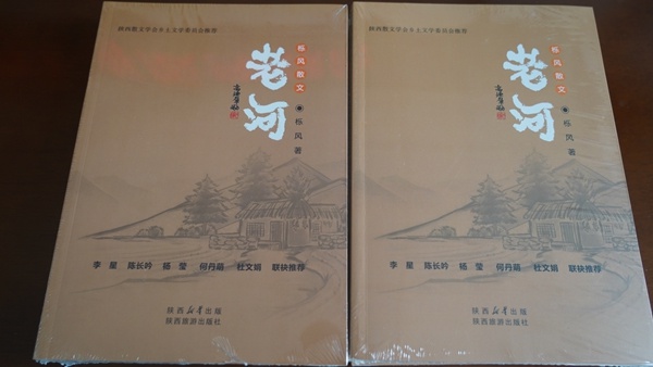 老河再版座谈会：乡土文学的醇美之约，唐勇笔下的故乡触动心灵  第2张