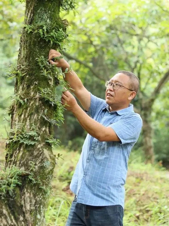 从湿地小渔村到城西新中心，蒋村的蝶变之路背后隐藏着怎样的青春力量？  第10张