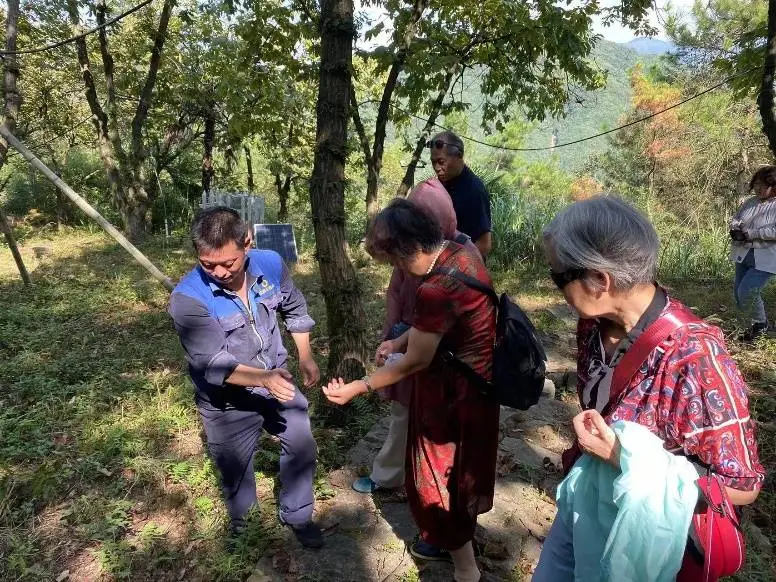 从湿地小渔村到城西新中心，蒋村的蝶变之路背后隐藏着怎样的青春力量？  第11张