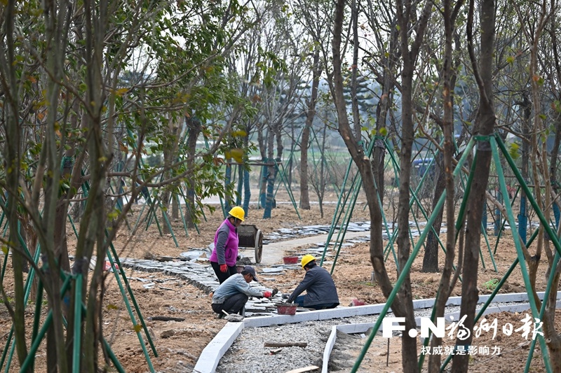 福州年末冲刺战：三江口大桥、侨智汇产业园、闽江河口湿地公园，见证交通与生态的双重蜕变  第3张