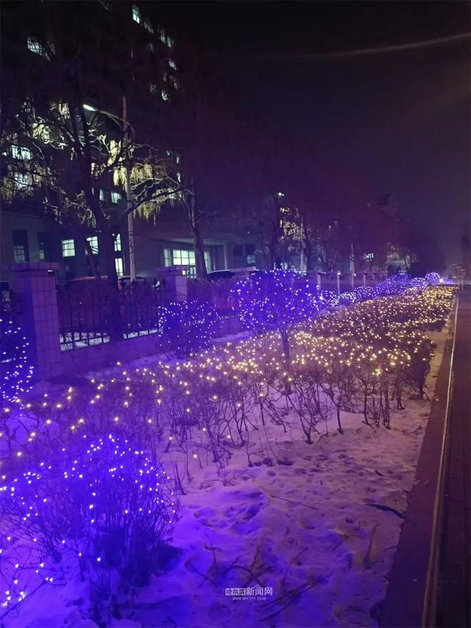 香坊区夜景升级，梦幻灯光与冰瀑美景交织，等你来打卡  第4张