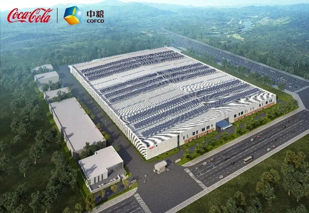 2024年可口可乐如何通过三大策略保持全球领先地位？  第8张