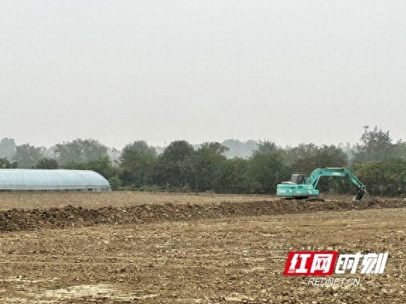 桃江县牛田镇杉树仑村：土地变形记，3948亩耕地如何焕发新生？