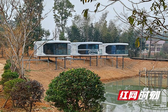 明年3月开园！桃江印象原生态森林康养旅居基地建设火热进行中  第2张