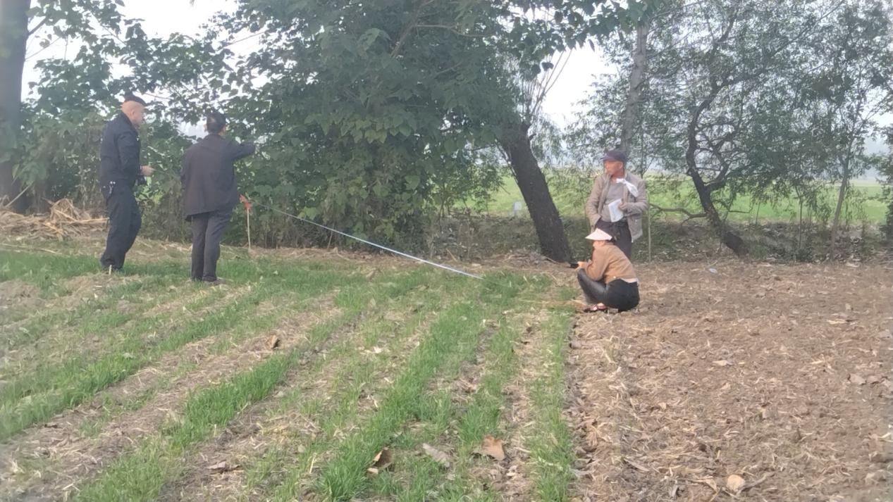 龙扬镇信访办成功化解土地纠纷：家门口的和谐稳定从这里开始  第3张