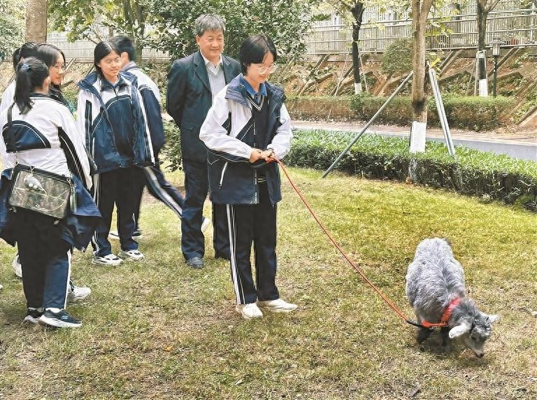 深圳实验学校成立首个羊协，副校长王喜峰带你走进羊的世界  第1张