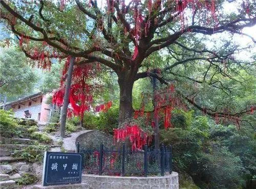 惊！男子非法穿越太白山失联，背后真相令人  第2张