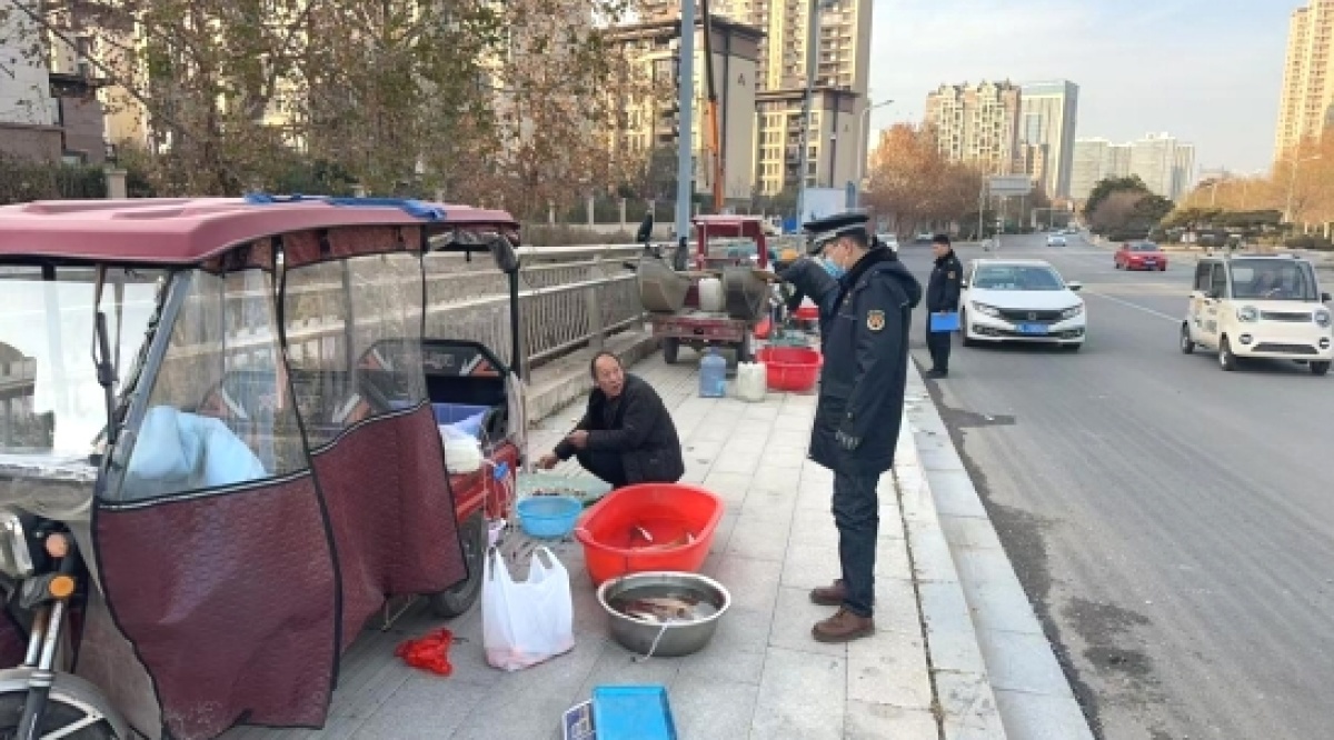 漯河市城市管理局迎新年大动作：20万株花卉装点城市，100余棵行道树补植，你期待吗？  第5张