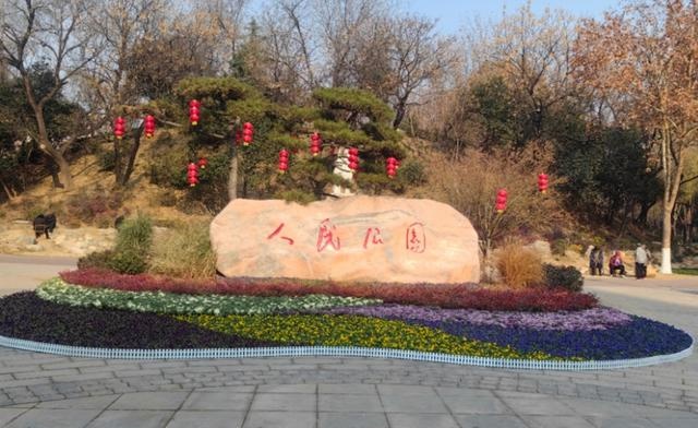 周口市园林绿化中心精心打造冬日花境，为元旦佳节增添绚丽色彩  第2张