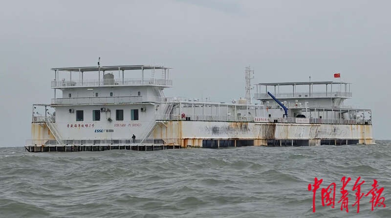 探秘海南龙栖湾：6人运营的现代海洋牧场，如何成为绿色智能新标杆？  第2张