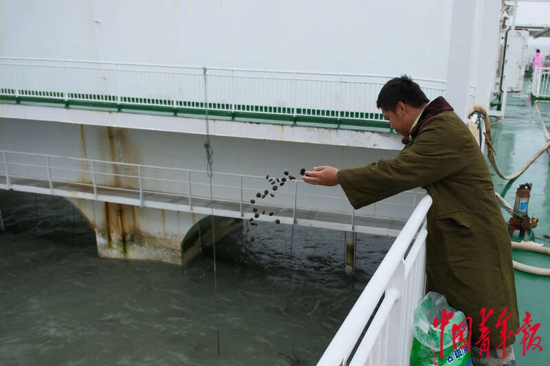 探秘海南龙栖湾：6人运营的现代海洋牧场，如何成为绿色智能新标杆？  第3张