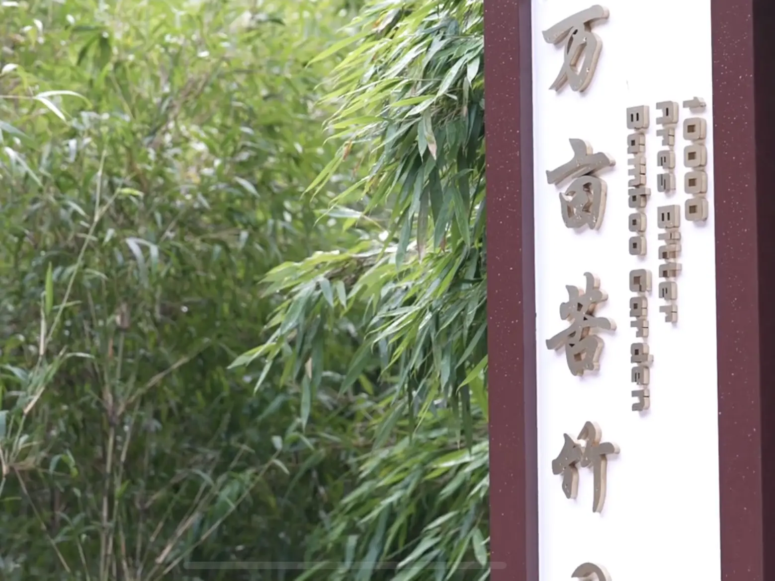 从城市到乡村：笛二代黄毓的返乡创业故事，如何用竹笛奏响乡村振兴新篇章？  第2张