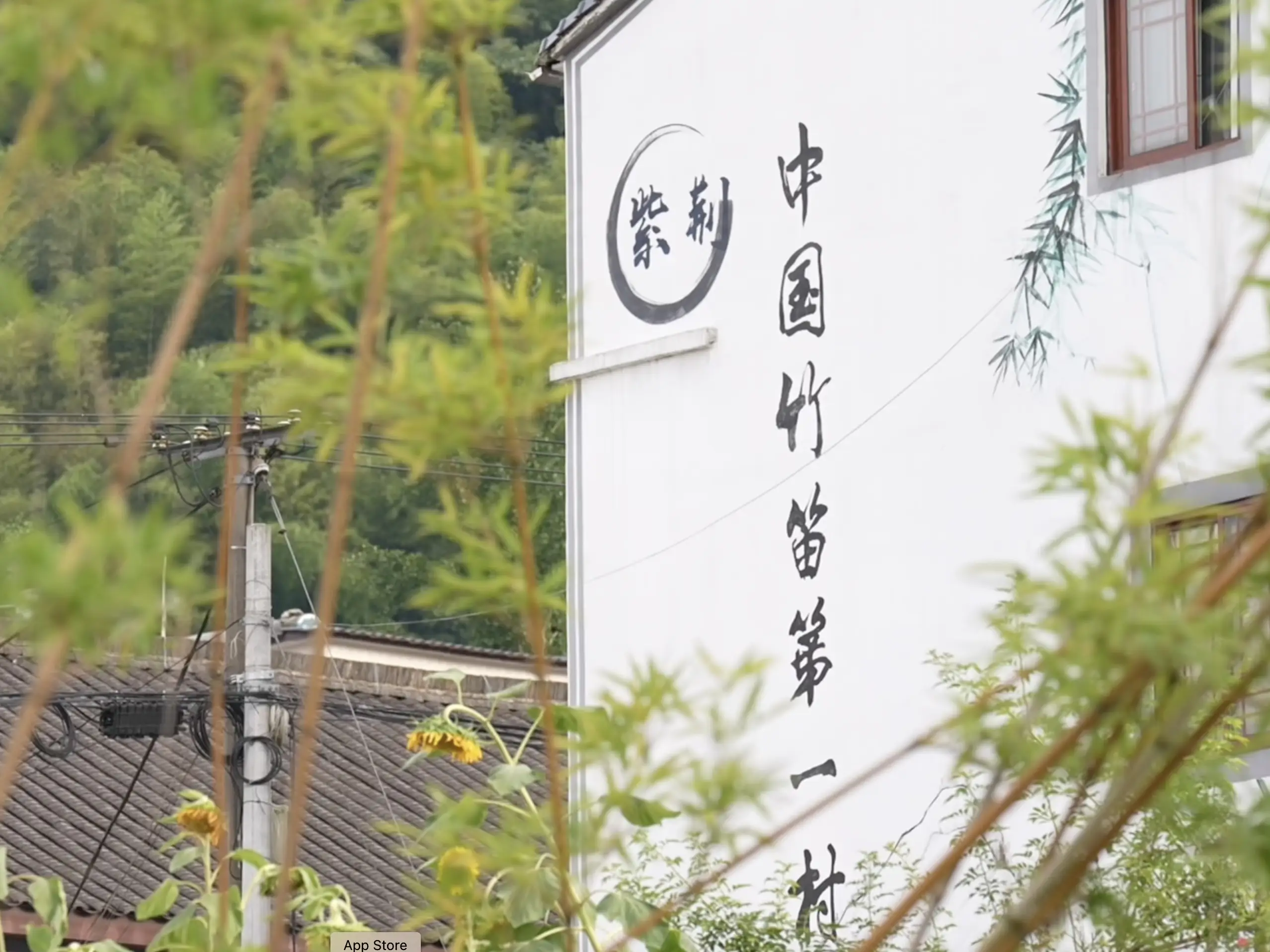 从城市到乡村：笛二代黄毓的返乡创业故事，如何用竹笛奏响乡村振兴新篇章？  第4张