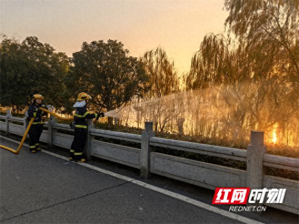 长沙开福区草坪火灾惊魂一刻！监控视频揭露真相，消防员紧急出动  第1张