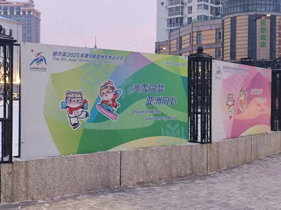 哈尔滨街头变身亚冬会主题公园，8475对灯杆对旗点亮城市激情  第1张