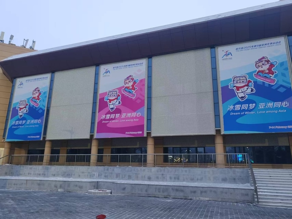 哈尔滨街头变身亚冬会主题公园，8475对灯杆对旗点亮城市激情  第2张