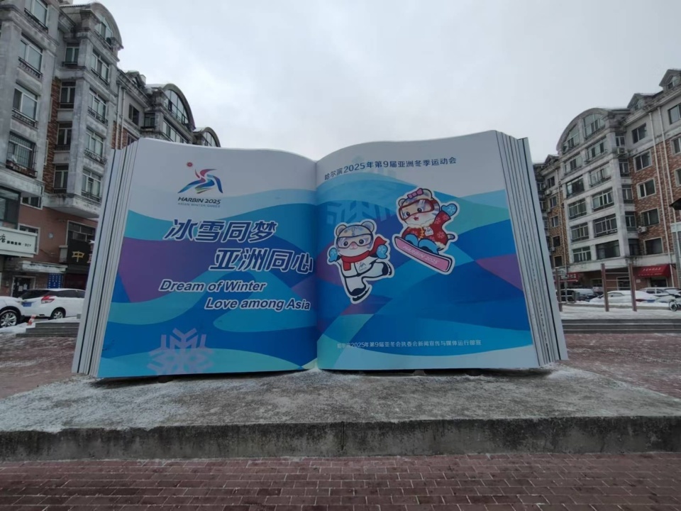 哈尔滨街头变身亚冬会主题公园，8475对灯杆对旗点亮城市激情  第4张