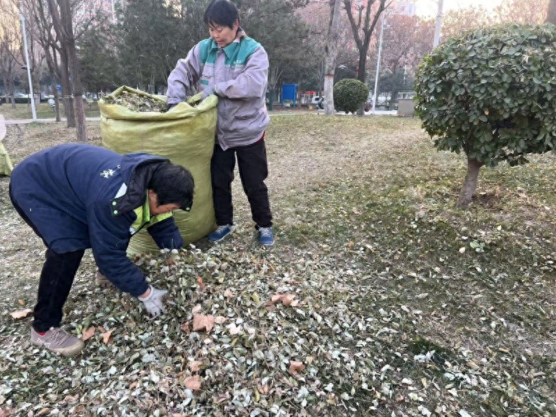 市园林绿化服务中心如何通过冬季修剪和精细化管理，为市民绘就幸福底色？