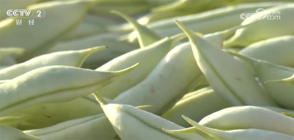 2024年12月菜篮子价格大揭秘：这些蔬菜价格降幅超10%，你买对了吗？  第4张