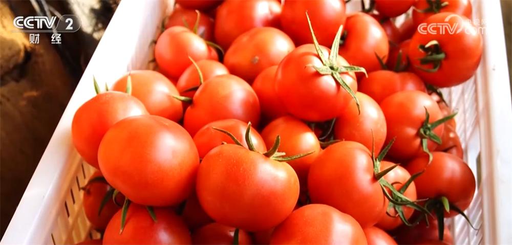 2024年12月菜篮子价格大揭秘：这些蔬菜价格降幅超10%，你买对了吗？  第7张