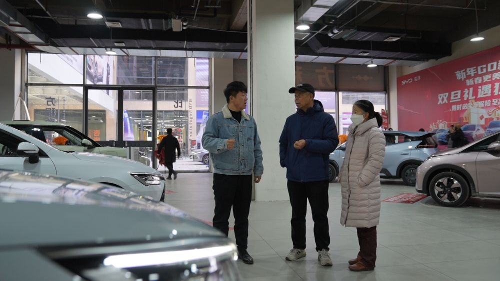 2025宁夏银川新能源汽车展盛大开幕，50万购车补贴等你来拿  第2张