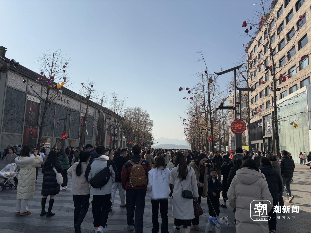 杭州跨年夜后的特殊任务：环卫工人如何清理树上五颜六色的心愿气球？  第3张