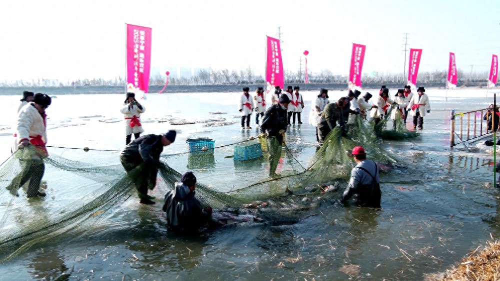 宁夏阅海湖冬捕节震撼启幕，头鱼跃出水面，吉祥与幸运的象征