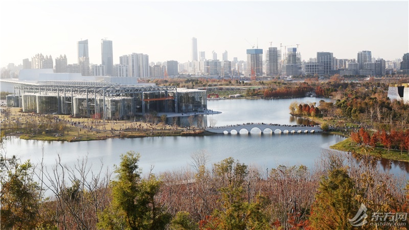 2025年元旦，上海世博文化公园双子山登高迎新，你准备好迎接这场视觉盛宴了吗？  第4张