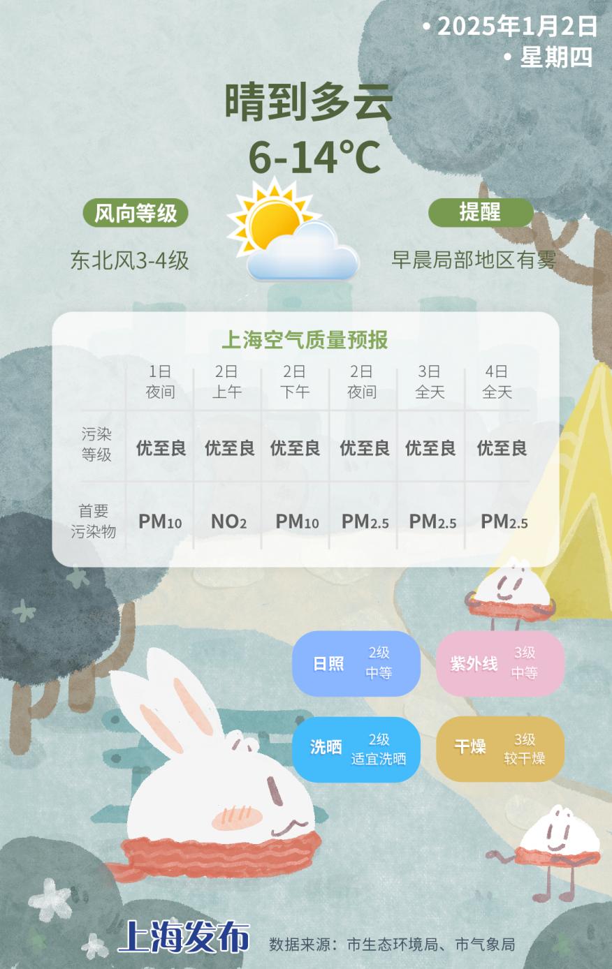 2025年第一天，上海天气大揭秘：从零下3.5度到14度的温差，你准备好了吗？  第4张