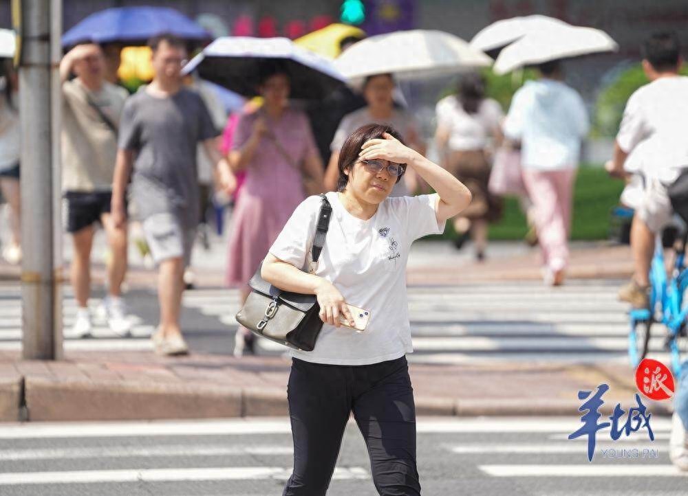 2024年创历史新高！中国气象局公布：这是自1961年以来最暖的一年，你准备好了吗？  第1张