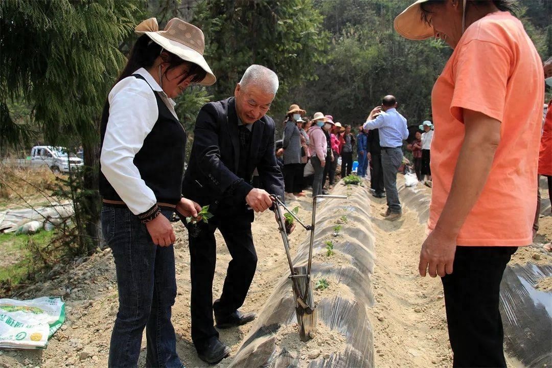 云南启动新时代银龄科技专家申报，70岁以下退休专家可参与，推动科技创新新篇章