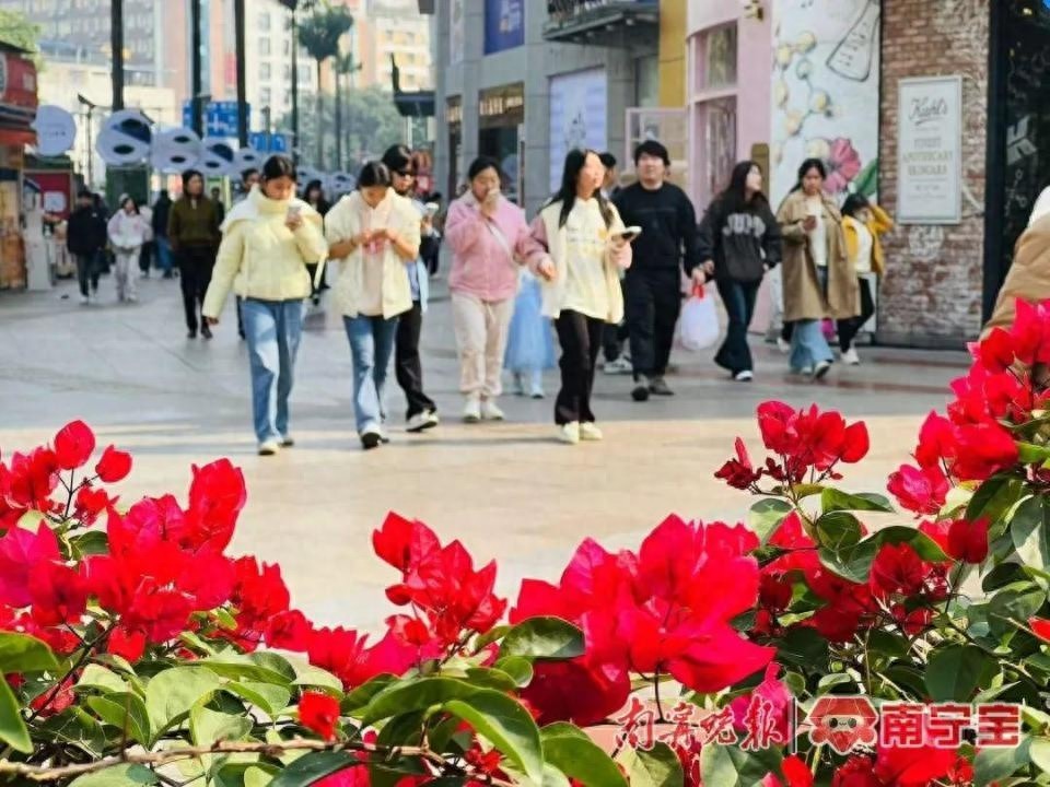 2025年元旦南宁气温飙升25℃，短袖重出江湖，但早晚温差大需注意保暖
