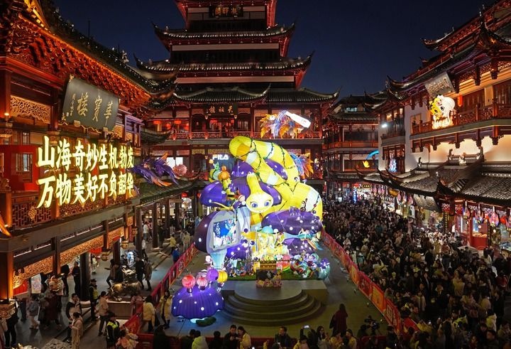 2025上海新年第一游：在龙华广场与迪士尼乐园共迎华章日新  第8张