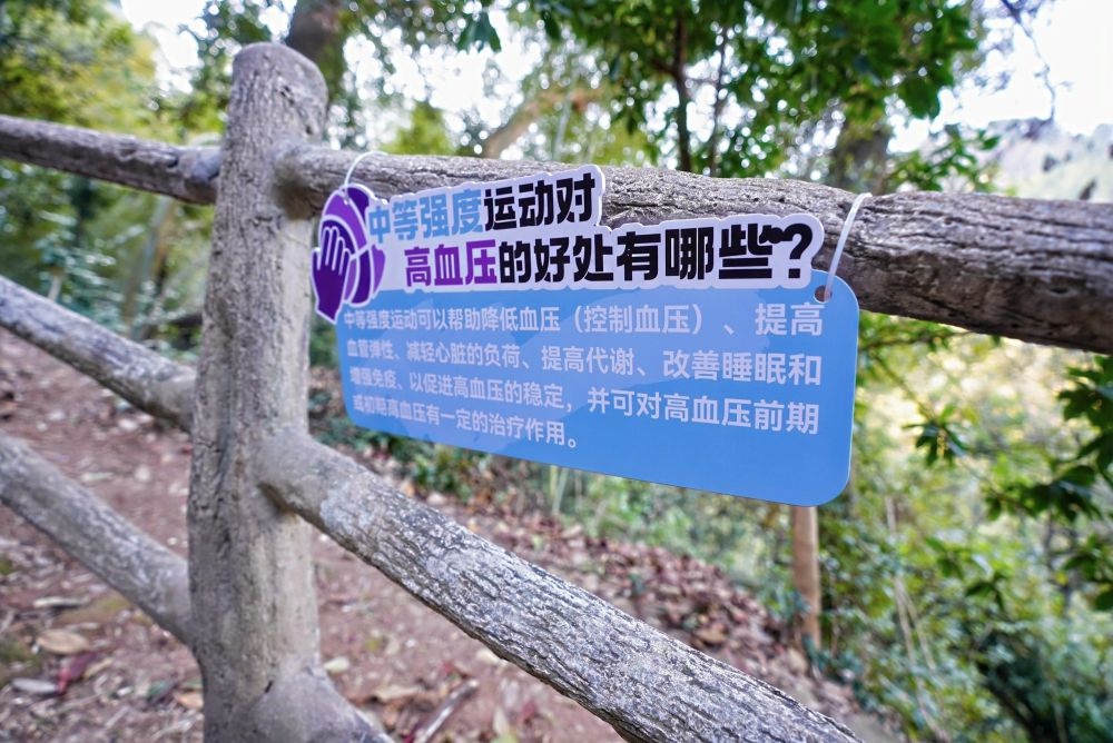 2024年12月31日，浙江江山启动‘登高望远·健康启航’体育科普中国行，全面提升公众健康意识  第2张