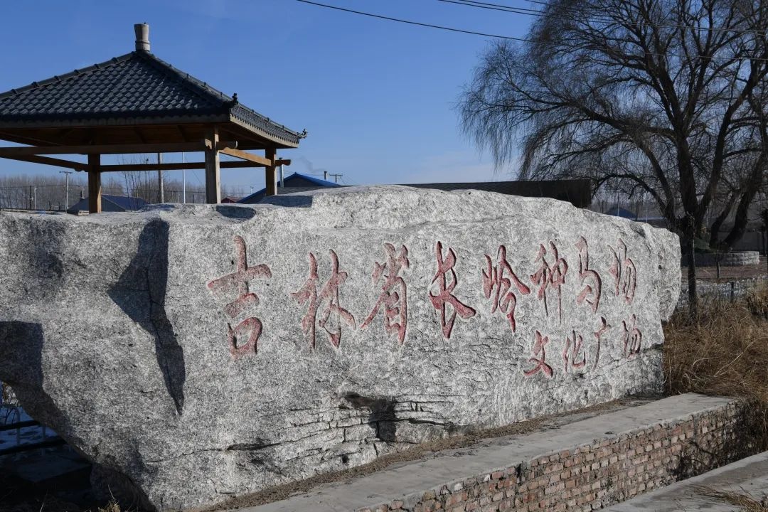 长岭种马场有棵百年宝树，为何被奉为神树?  第2张