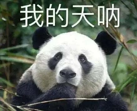 杭州高山区又要下雪了！返程路上大雾雨雾叠加，你准备好了吗？