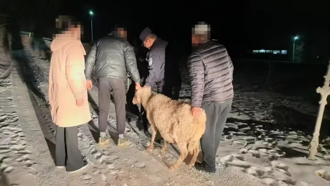 春节阖家团圆时，川口民警为何坚守岗位？警徽下的担当!  第2张