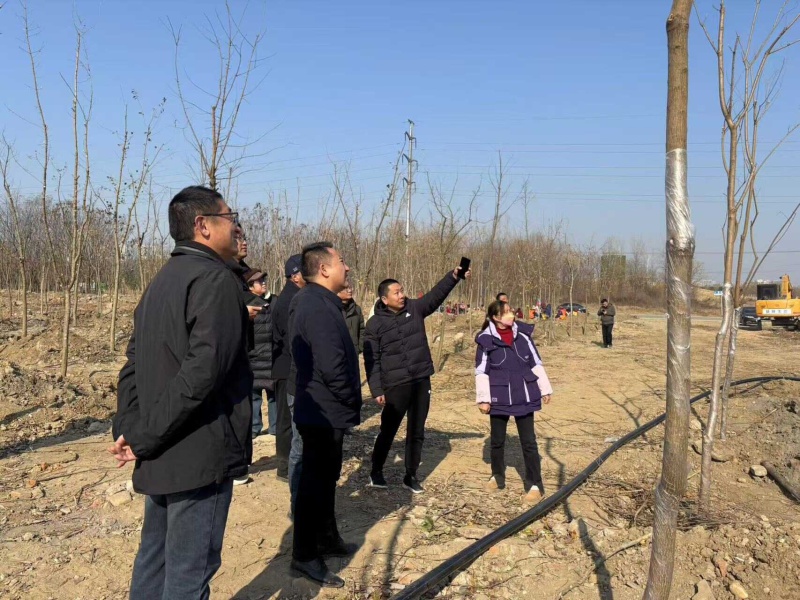 鱼梁洲变身网红打卡地！7900亩绿林23万株苗木，你还不来打卡吗？  第3张