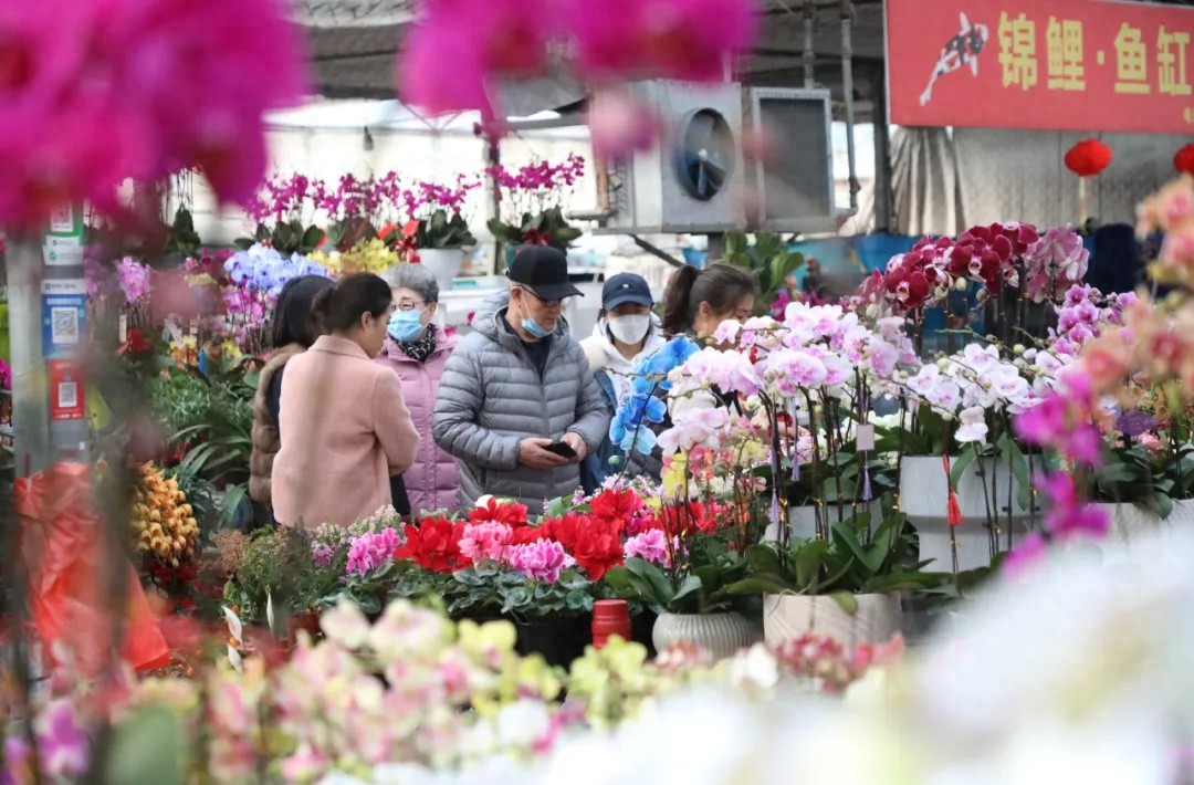 新春花市太热闹！年宵花美到目不暇接？