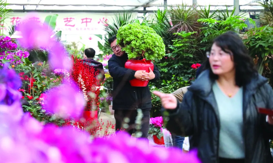 新春花市太热闹！年宵花美到目不暇接？  第5张