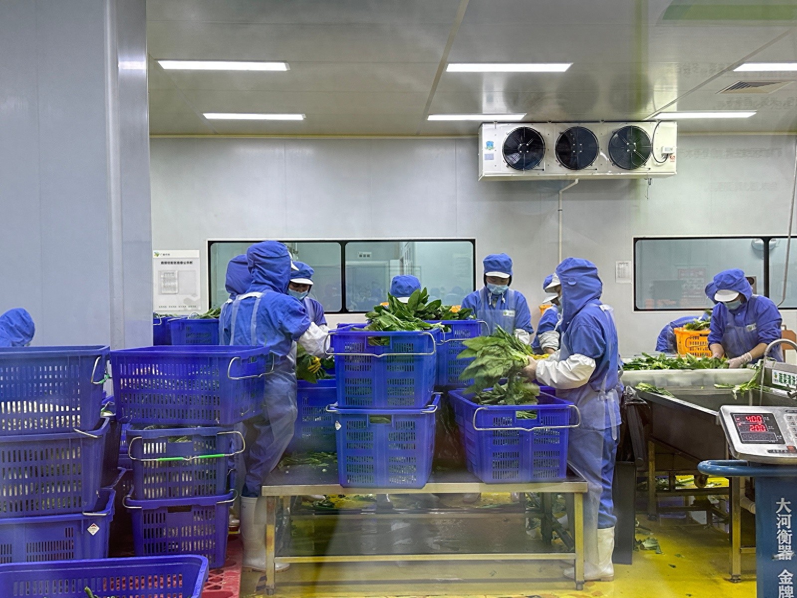 贵阳涉校配餐企业如何确保食品安全？这场现场观摩活动告诉你  第1张