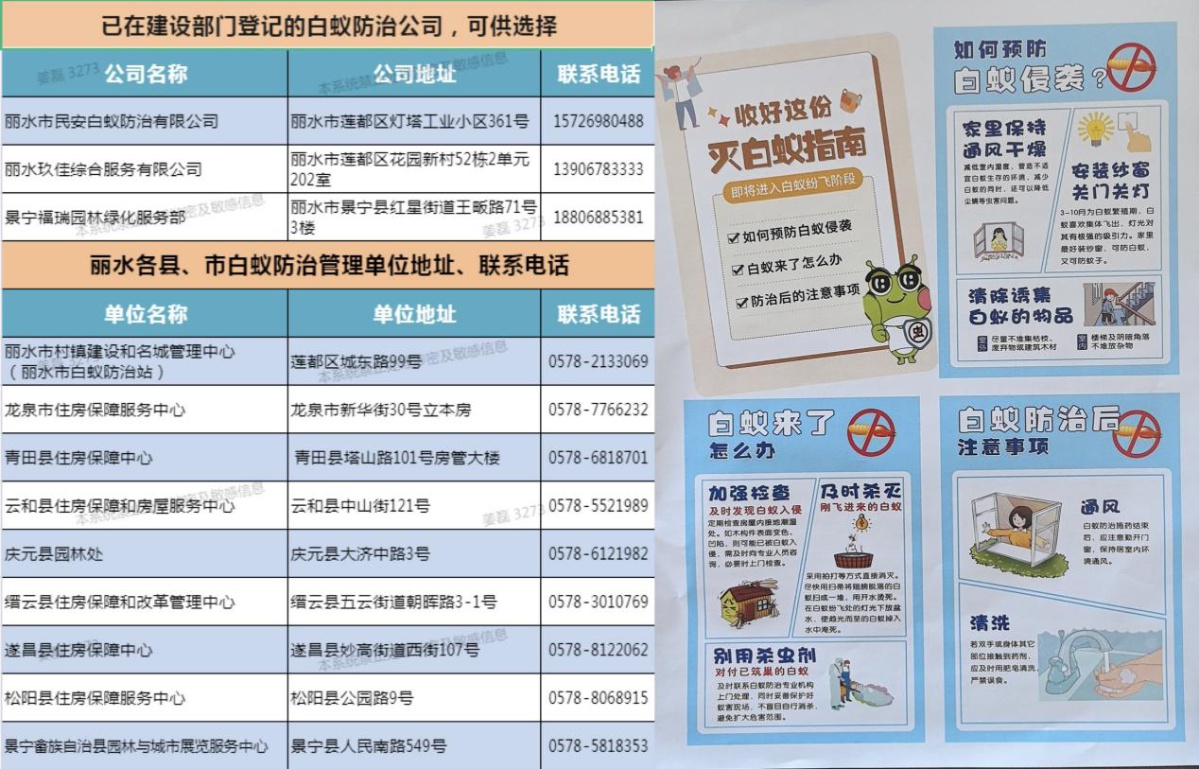你家可能正被白蚁悄然入侵，这些迹象你注意到了吗？  第2张